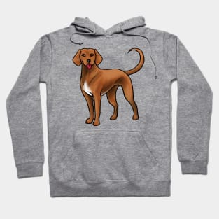 Dog - Redbone Coonhound - Red and White Hoodie